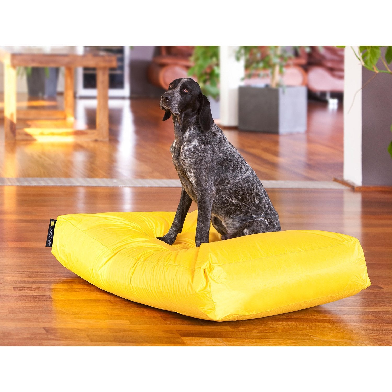 Smoothy-Hundekorb-XXL-gelb