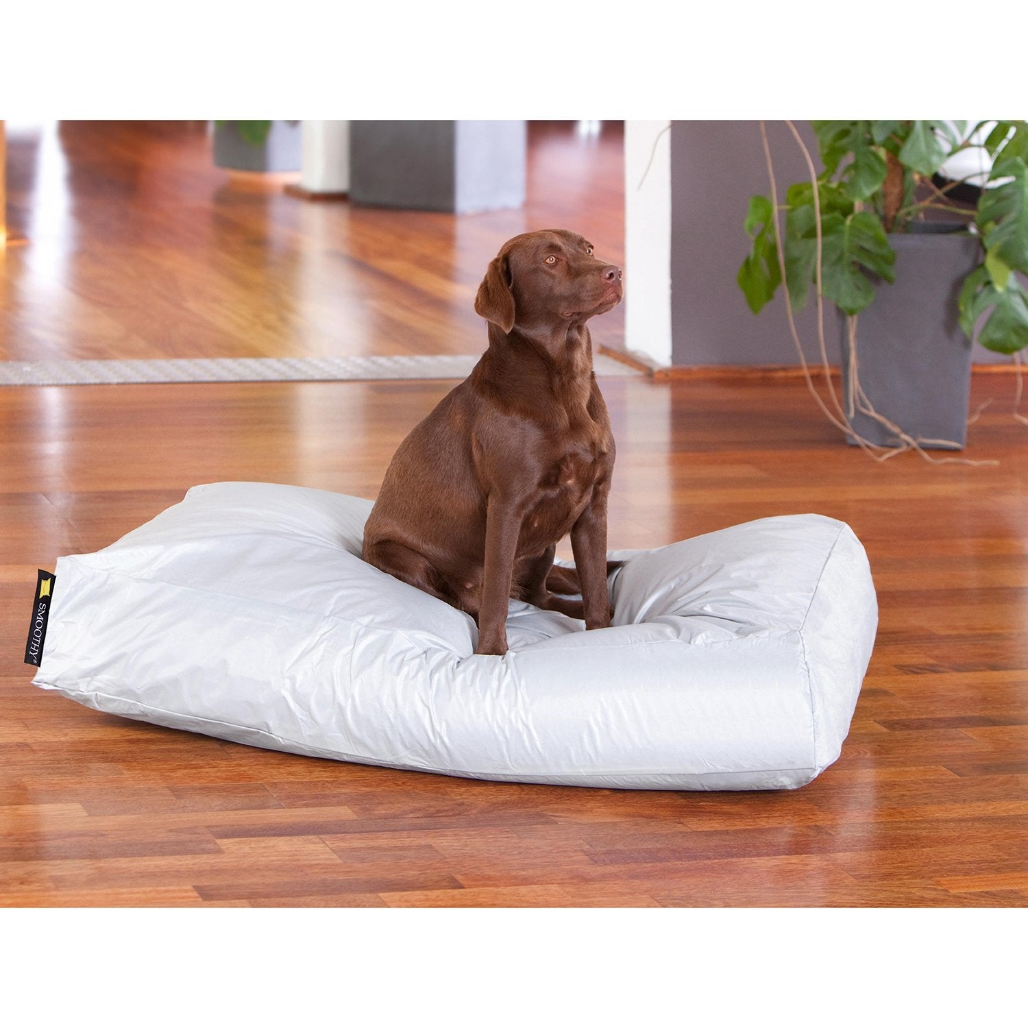 Smoothy-Hundekorb-XXL-grau