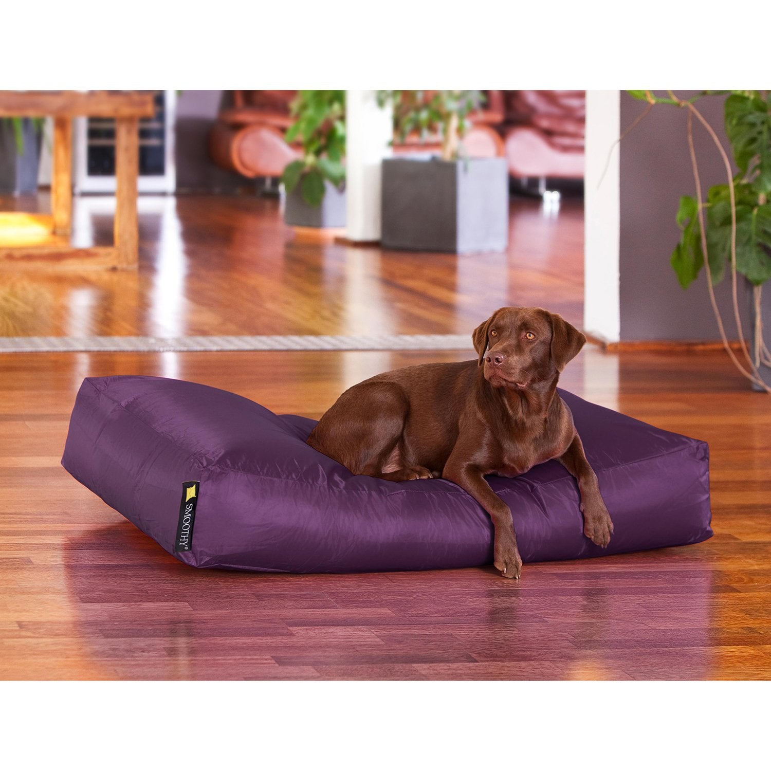Smoothy-Hundekorb-XXL-lila