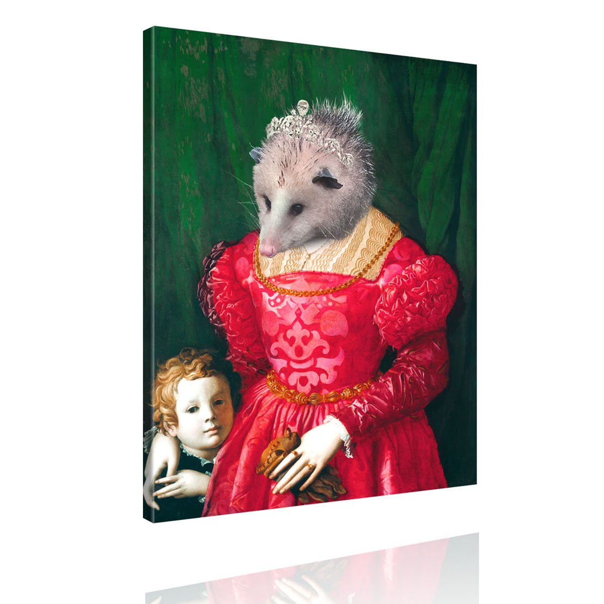 Tierportrait-Igel-Opossum