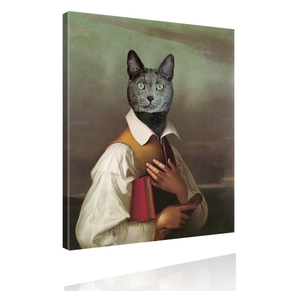 Tierportrait-Katze