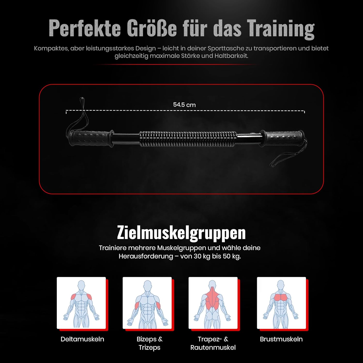 Königsfeder-Biegehantel – Effektiver Armtrainer für Krafttraining