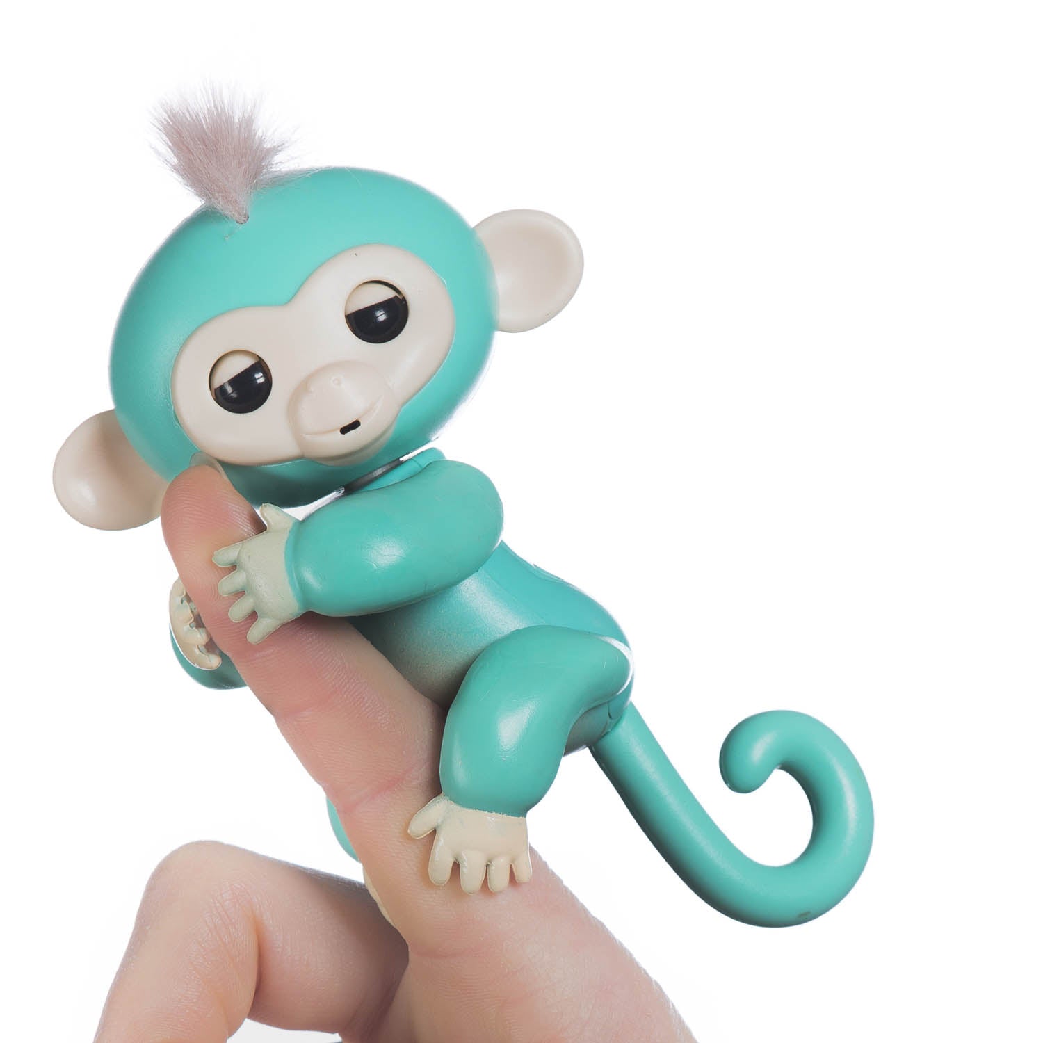 babymonkey