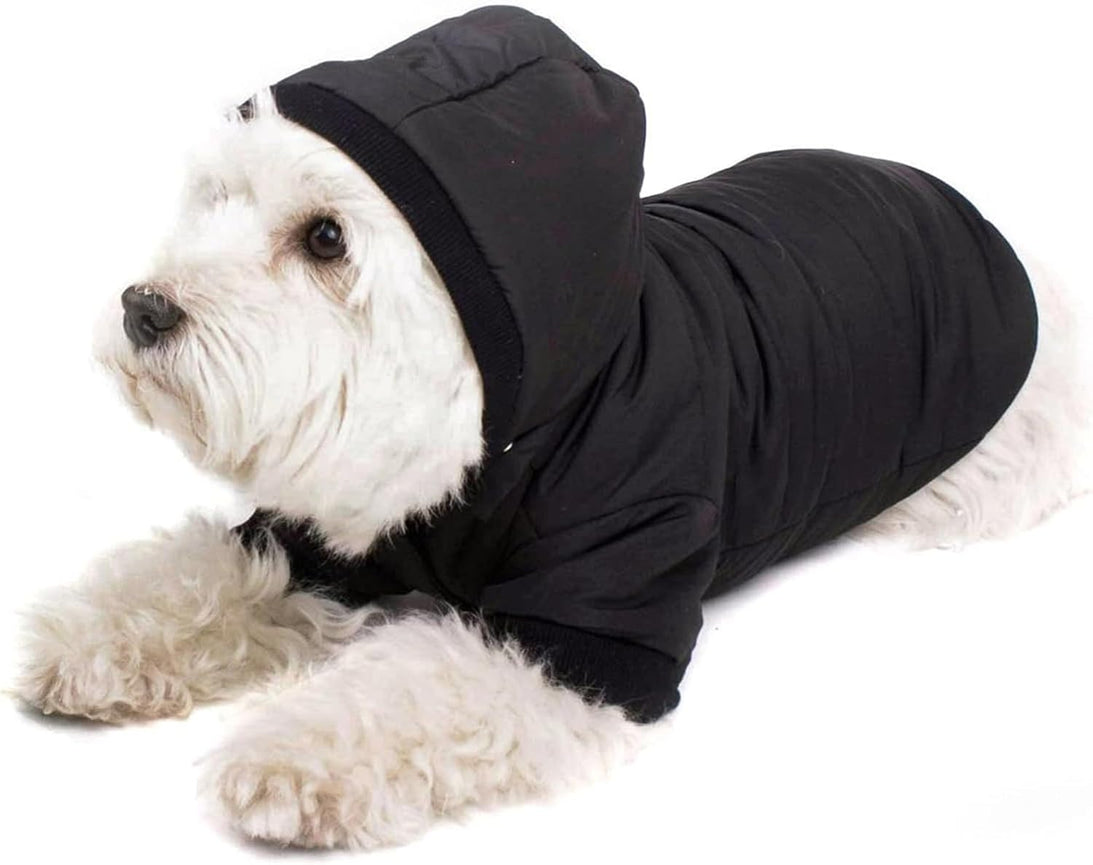 Warmer Hundemantel mit Kapuze – Hundejacke für kleine Hunde