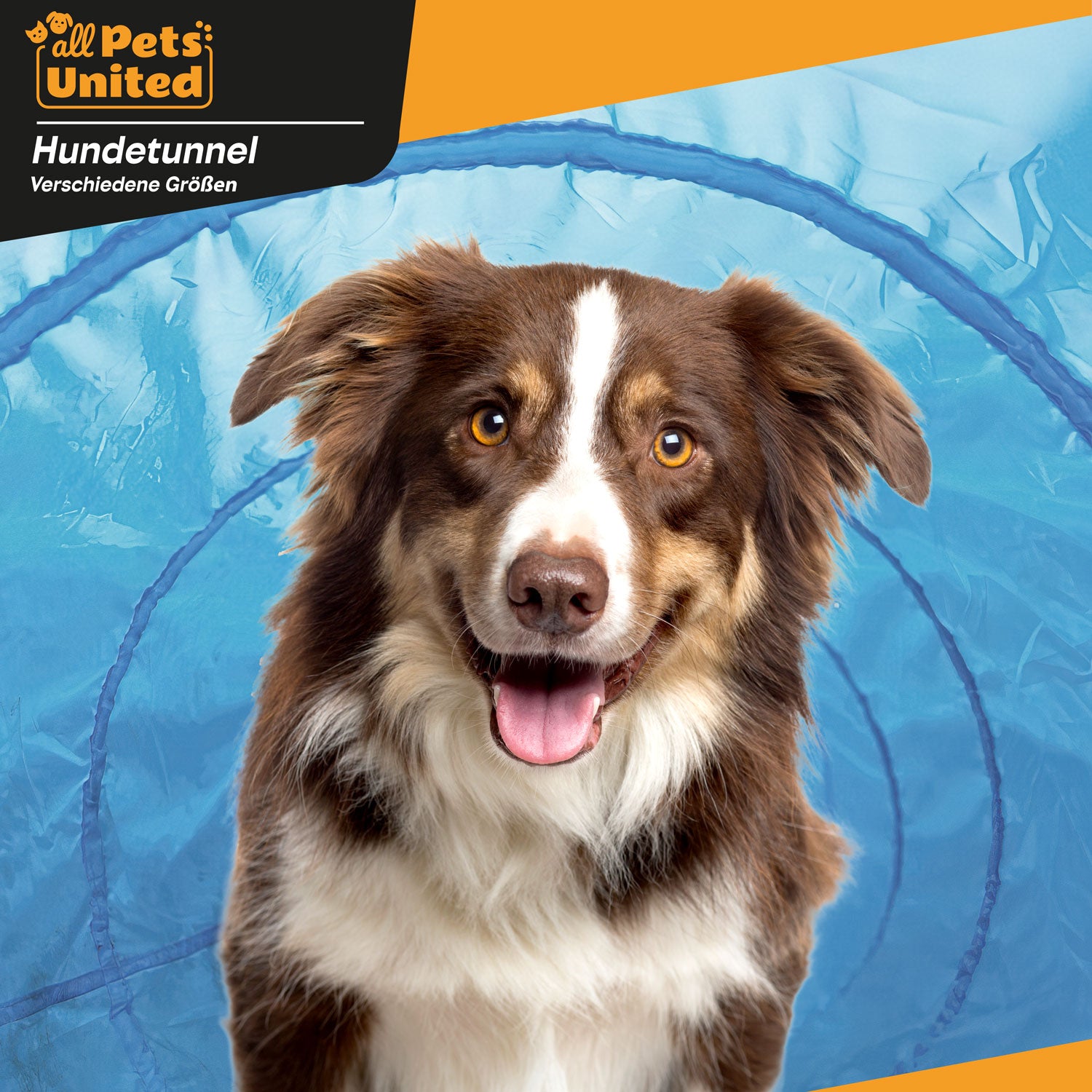 Agility Hundetunnel Set, inkl. Frisbee und Hürden für Spiel und Training