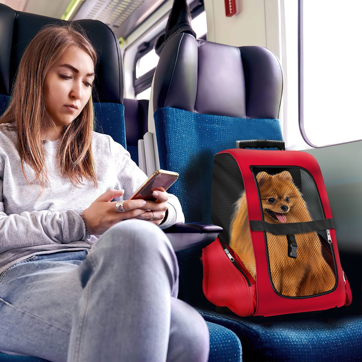 Hunde Trolley - Petbag Rucksack für Hunde - Hundetrolley