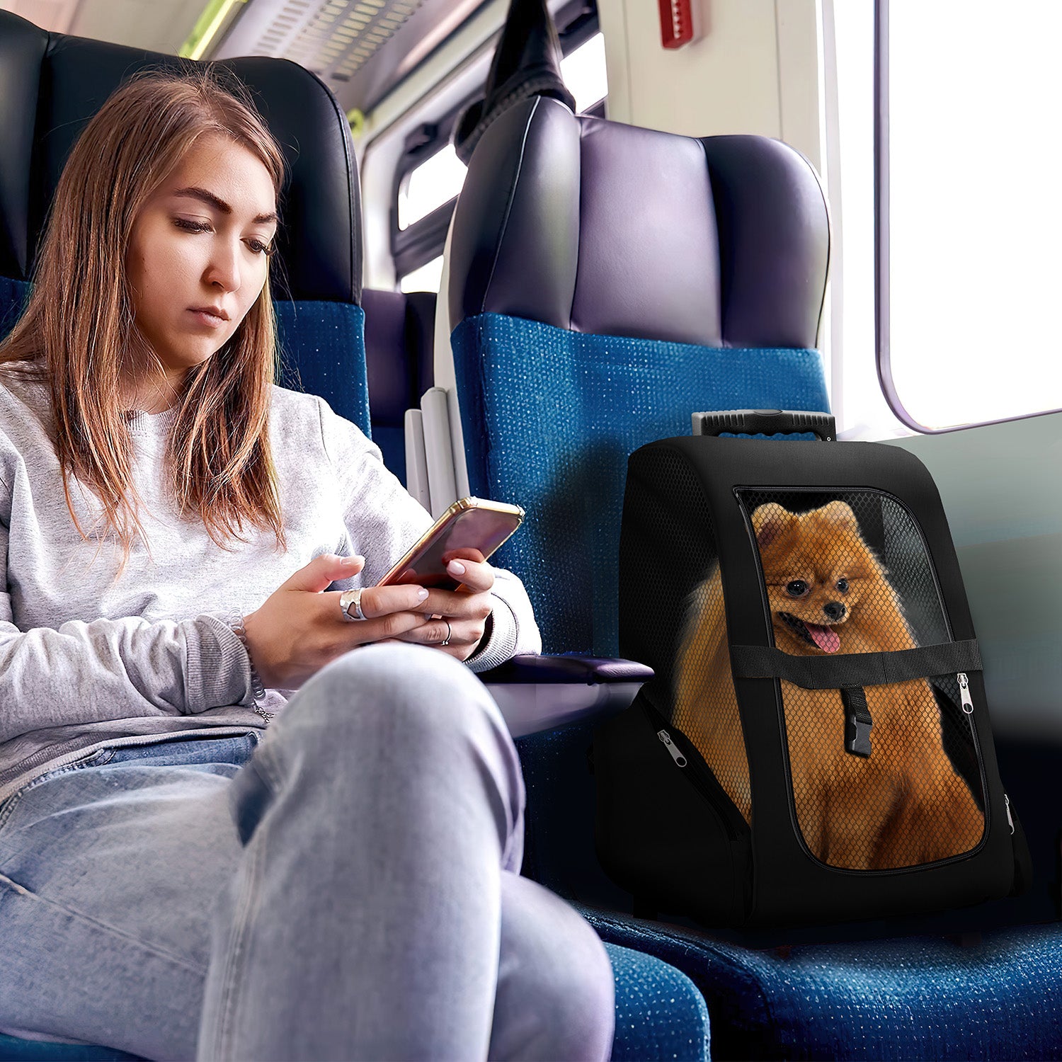 Hunde Trolley - Petbag Rucksack für Hunde - Hundetrolley