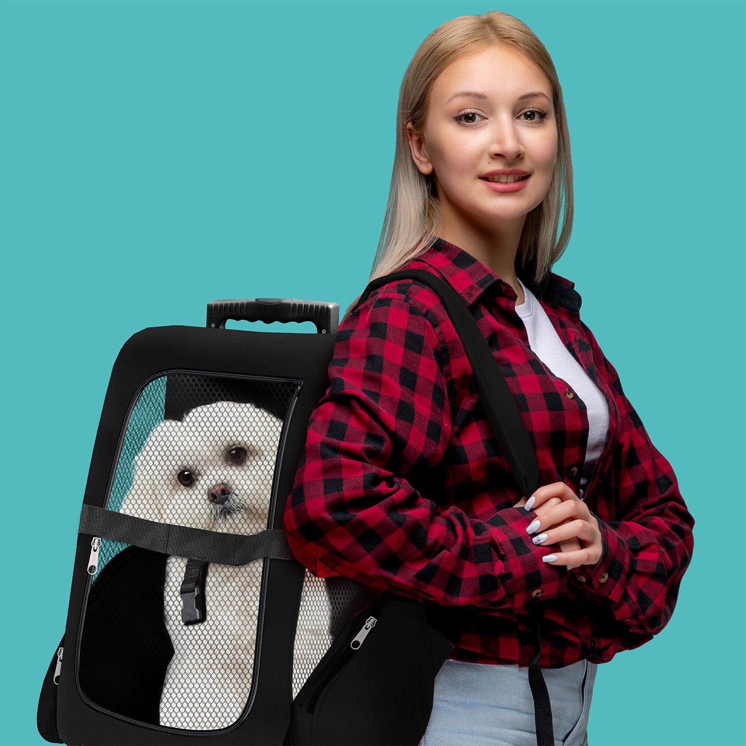Hunde Trolley - Petbag Rucksack für Hunde - Hundetrolley