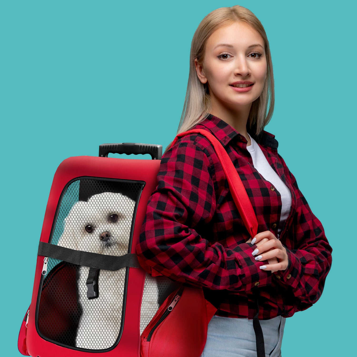 Hunde Trolley - Petbag Rucksack für Hunde - Hundetrolley