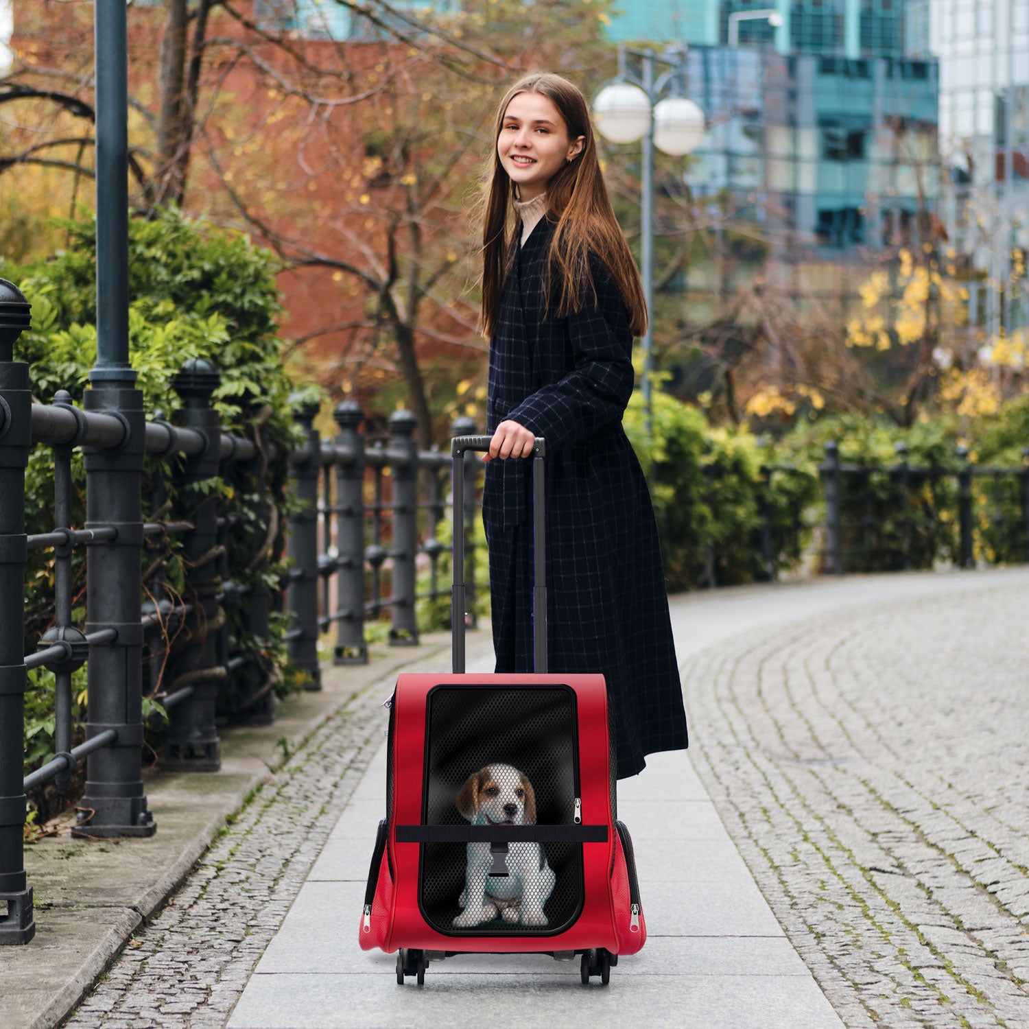 Hunde Trolley - Petbag Rucksack für Hunde - Hundetrolley