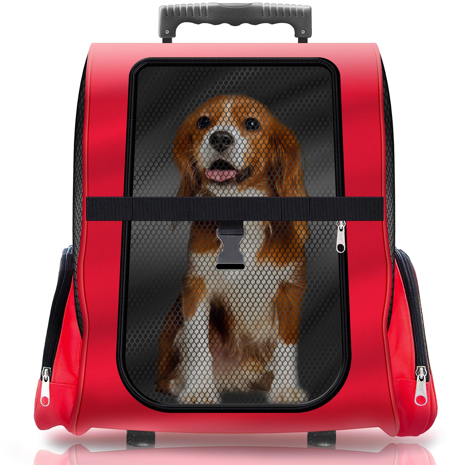 Hunde Trolley - Petbag Rucksack für Hunde - Hundetrolley