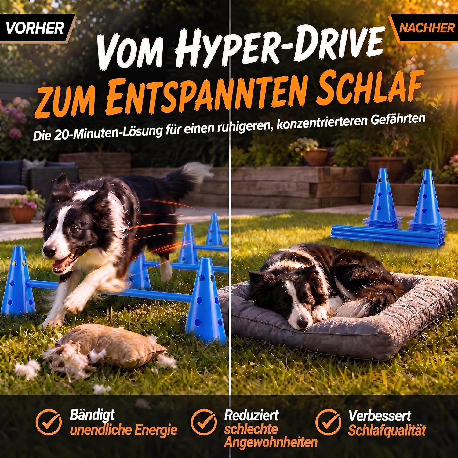 Hunde Agility Tunnel Set 500 cm - Spieltunnel mit Hürden