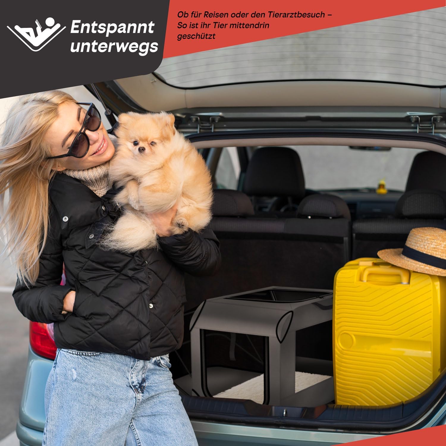 Hundetransportbox & Laufstall Kombi - Faltbare Auto-Hundebox