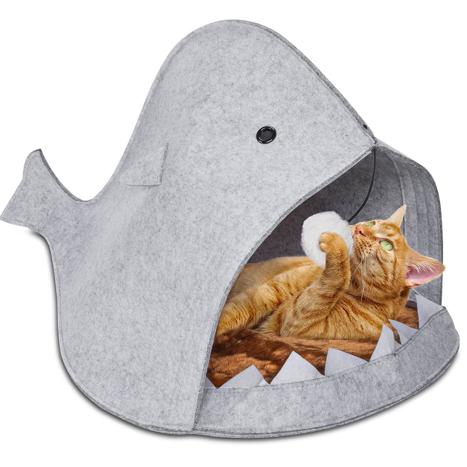hai-katzenhoehle