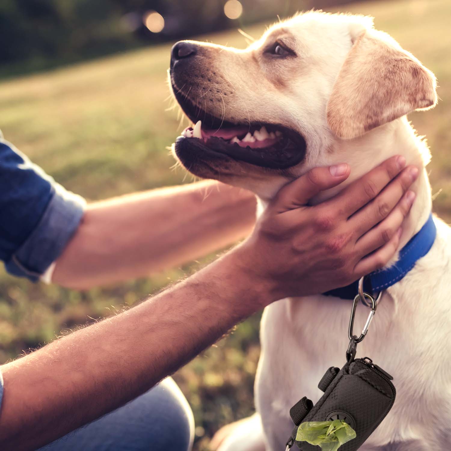 hundekotbeutelspender-halsband