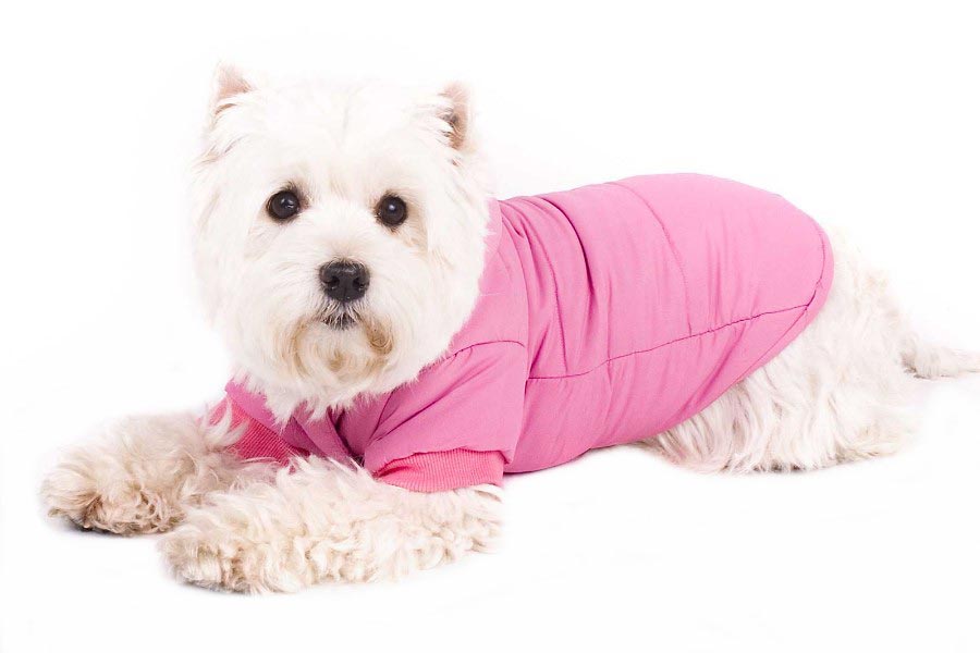 hundemantel-pink