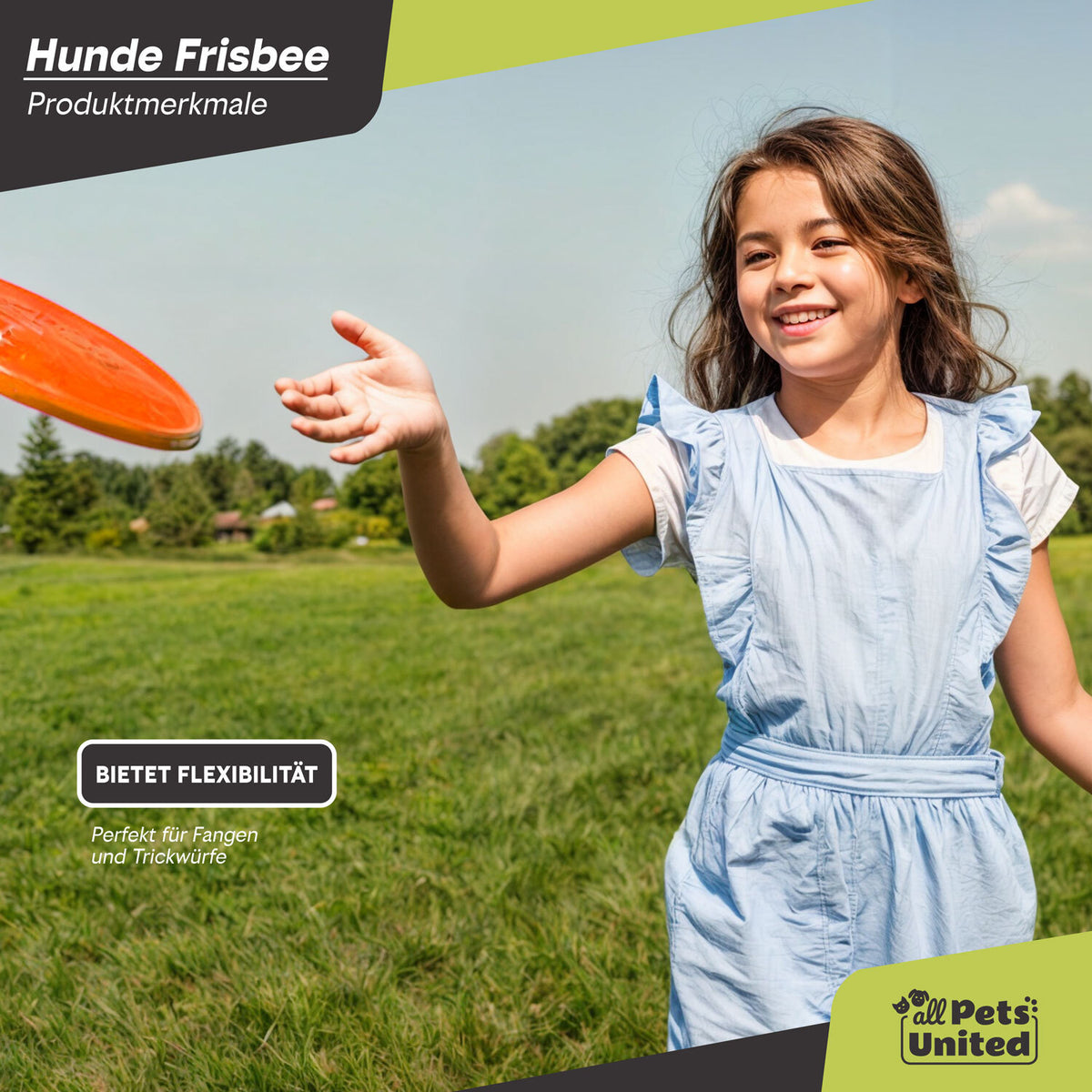 Orange Hunde-Frisbee – Produktbild 5