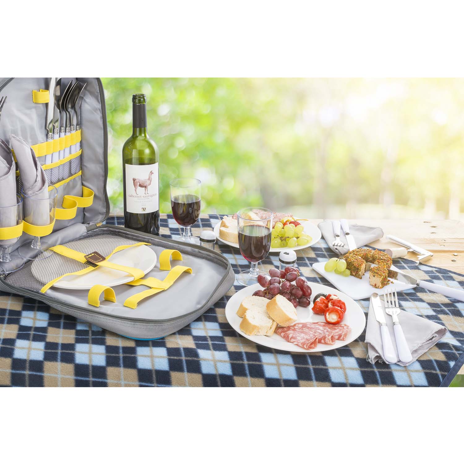 picknicktasche-fuer-4-personen