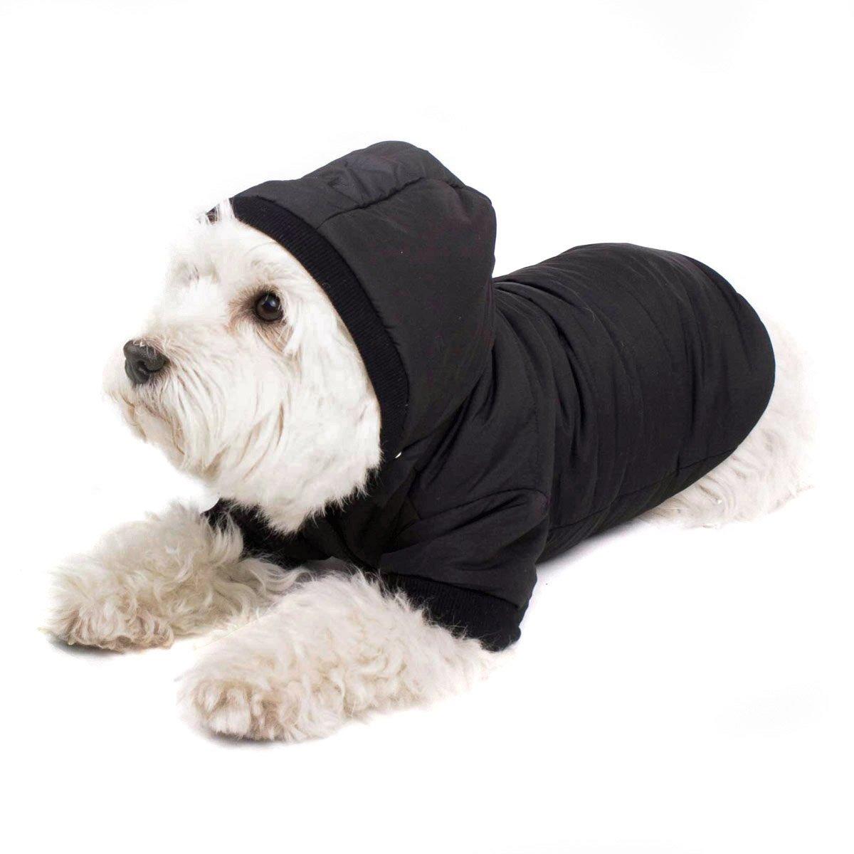 schwarzer-hundemantel-mit-kapuze