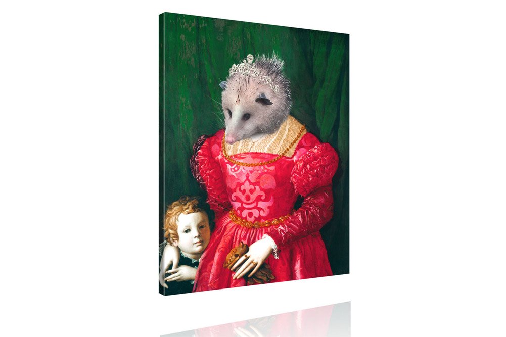 tierportrait-igel-opossum
