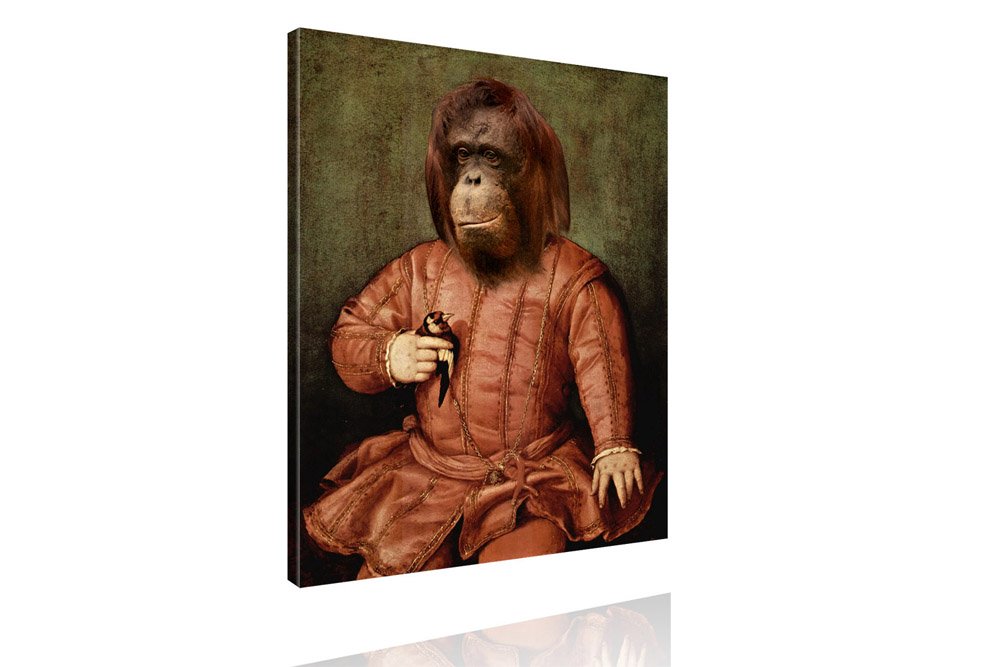 tierportrait-orang-utan-affe