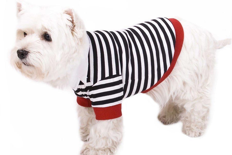 Hundepullover Pulli für Hunde » Shop » 24h » günstig kaufen!